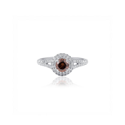 Australian Chocolate Diamond Double Halo Ring