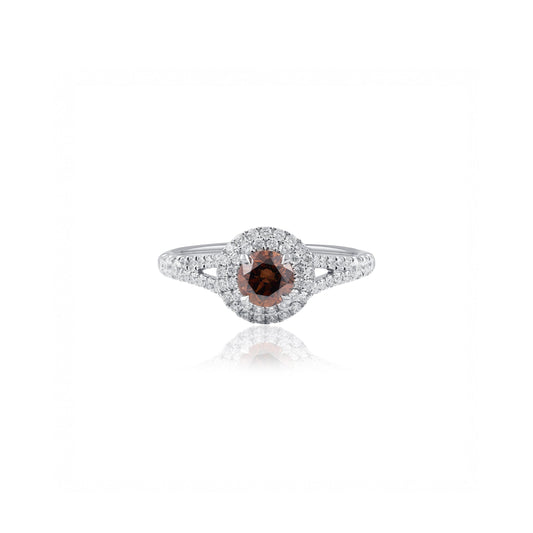 Australian Chocolate Diamond Double Halo Ring