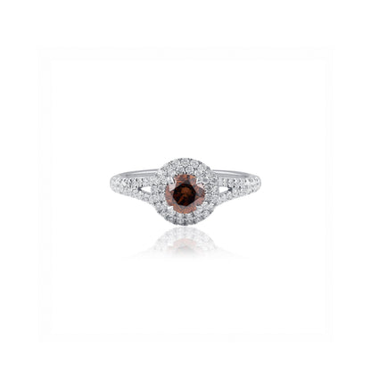 Australian Chocolate Diamond Double Halo Ring