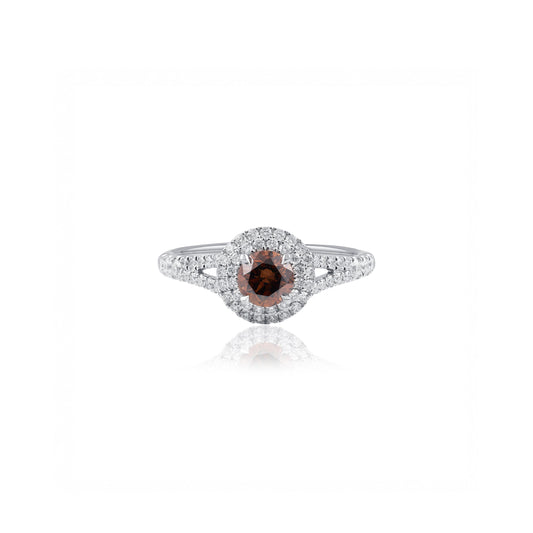 Australian Chocolate Diamond Double Halo Ring